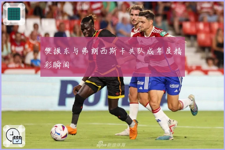 樊振东与弗朗西斯卡共队成年度精彩瞬间