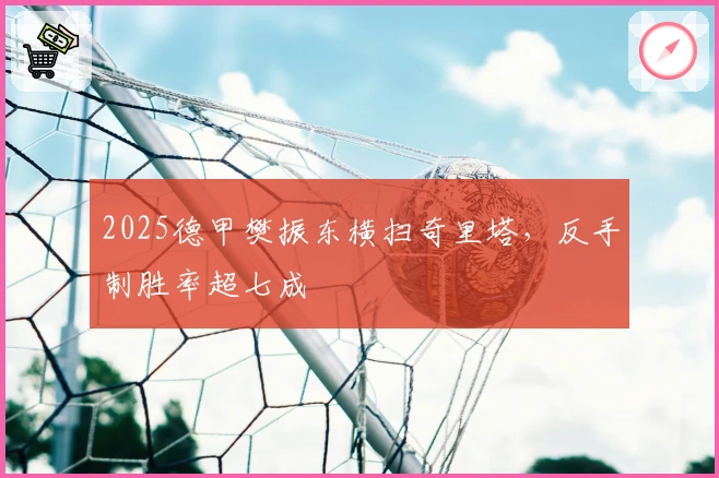 2025德甲樊振东横扫奇里塔，反手制胜率超七成