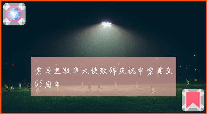 索马里驻华大使致辞庆祝中索建交65周年