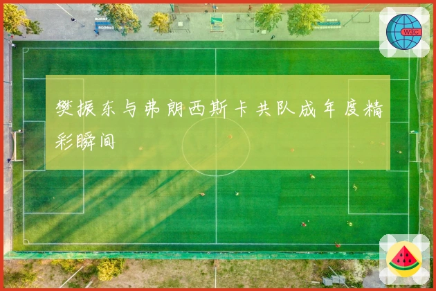 樊振东与弗朗西斯卡共队成年度精彩瞬间